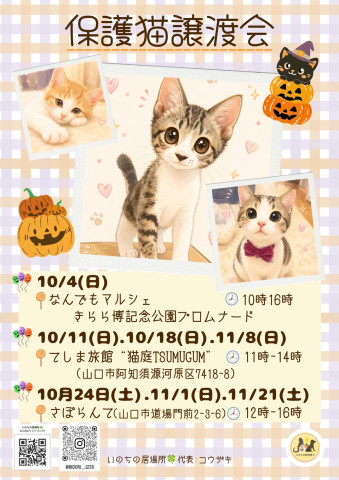 保護猫譲渡会in山口市さぽらんて