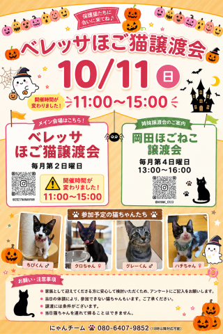 ベレッサほご猫譲渡会