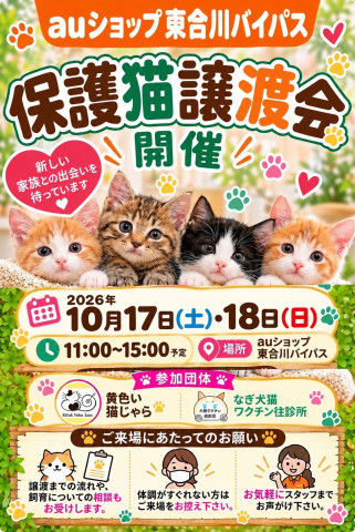 福岡県久留米市　猫の譲渡会