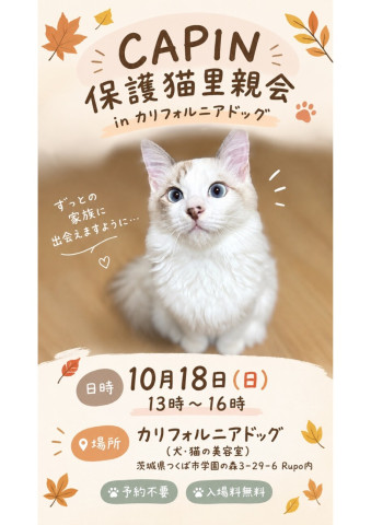 CAPIN カリフォルニアドッグ保護猫里親会