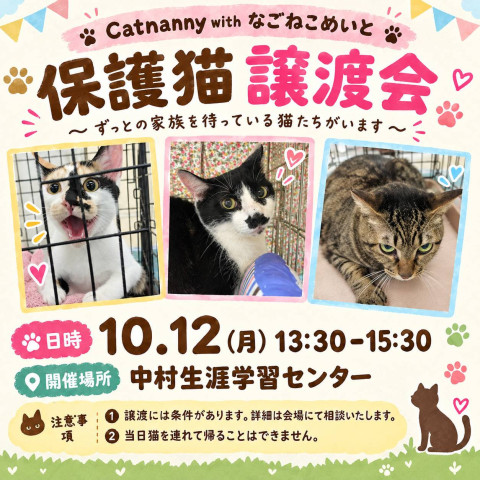 【名古屋市】中村譲渡会　