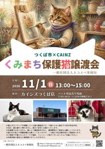 くみまち保護猫譲渡会