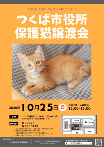 つくば市役所保護猫譲渡会