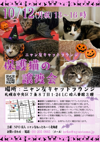 【札幌】ニャン友キャットラウンジ譲渡会〈10/12〉