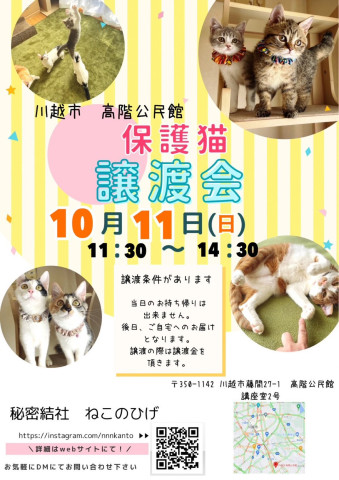 秘密結社ねこのひげ♡保護猫譲渡会