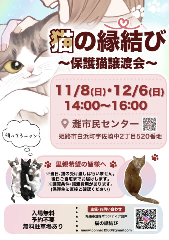 猫の縁結び〜保護猫譲渡会〜