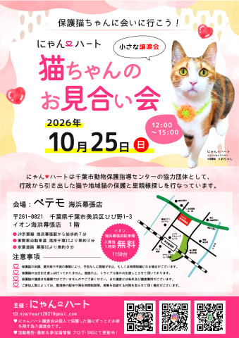 にゃん❤️ハート　猫ちゃんのお見合い会