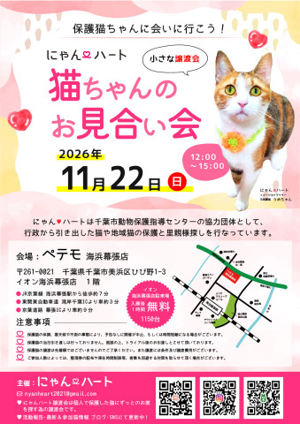 にゃん❤️ハート　猫ちゃんのお見合い会
