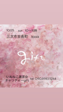 gift 保護猫譲渡会