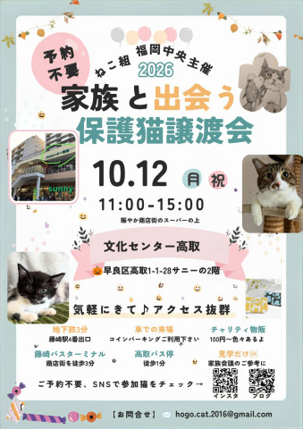 ねこ組🐾福岡中央 譲渡会