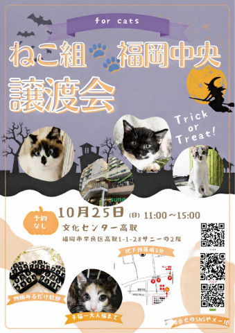 ねこ組🐾福岡中央 譲渡会