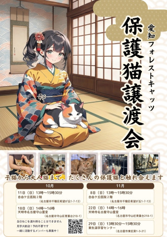 10月〜11月　保護猫譲渡会　名古屋市