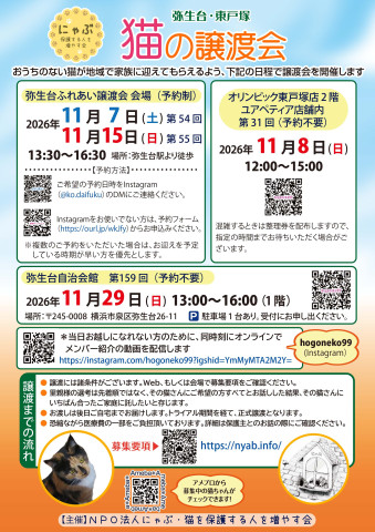 弥生台・東戸塚　猫の譲渡会