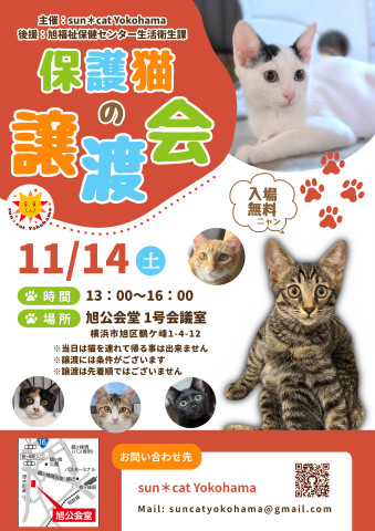 保護猫の譲渡会@sun＊cat Yokohama