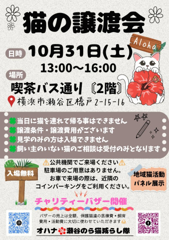 保護猫譲渡会
