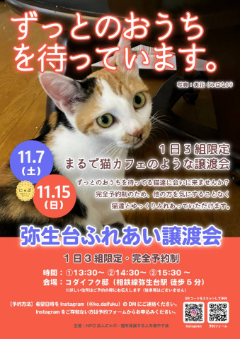 弥生台ふれあい譲渡会（完全予約制）
