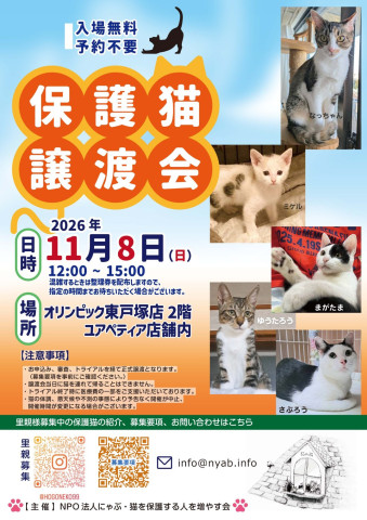 にゃぶ 保護猫譲渡会（オリンピック東戸塚）