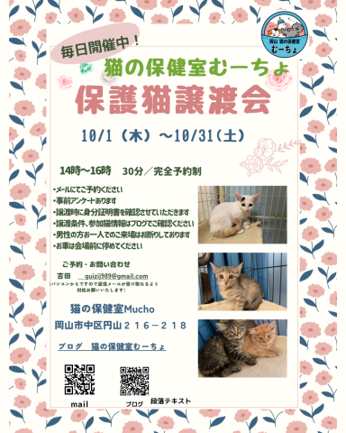 保護猫毎日譲渡会＠猫の保健室Mucho
