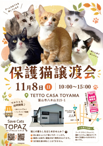 Save Cats TOPAZ 保護猫譲渡会