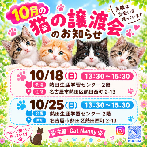 猫の譲渡会in名古屋