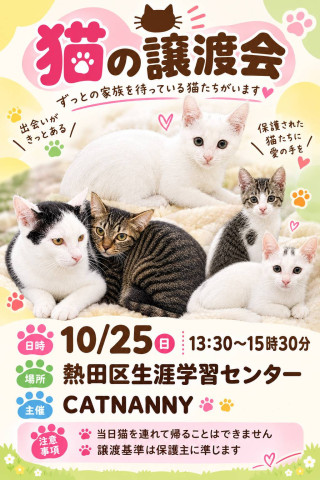 🐱譲渡会🐱熱田区生涯学習センター