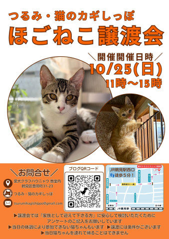 つるみ・猫のカギしっぽ猫の譲渡会　JR鶴見駅西口歩5分室内開催