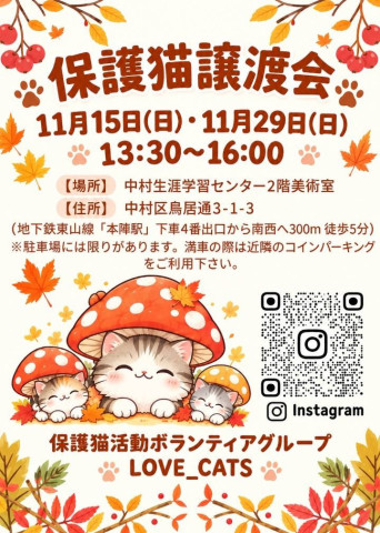 個人ボランティアLove_Cats保護猫譲渡会11/29
