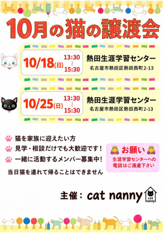 熱田区譲渡会　CatNanny