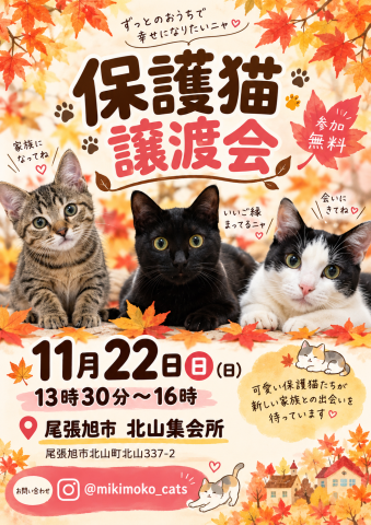 保護猫譲渡会