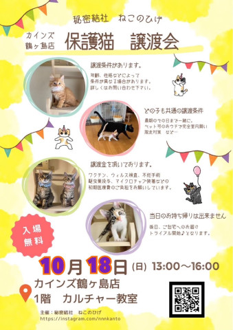 秘密結社ねこのひげ♡保護猫譲渡会