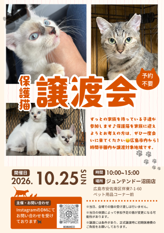 保護猫譲渡会♪