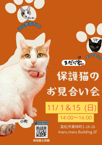 まだら家🍀保護猫のお見合い会