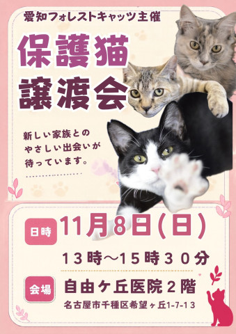 保護猫譲渡会　子猫まつり　名古屋市