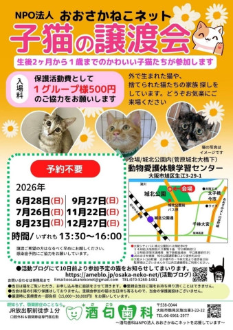 NPO法人おおさかねこネット　子猫の譲渡会