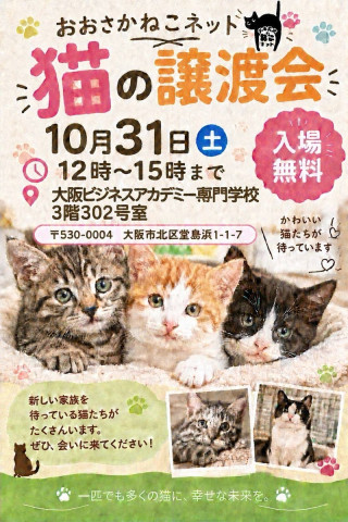 NPO法人おおさかねこネット　猫の譲渡会