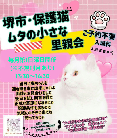 ムタの小さな里親会☆堺東