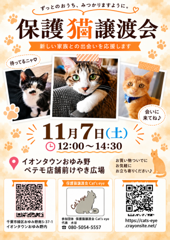 保護猫譲渡会Cat'seye