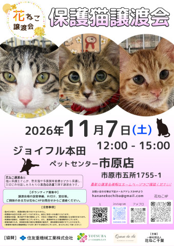 花ねこ譲渡会