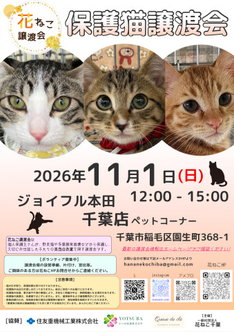 花ねこ譲渡会