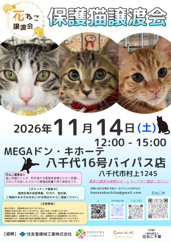 花ねこ譲渡会