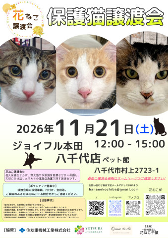 花ねこ譲渡会