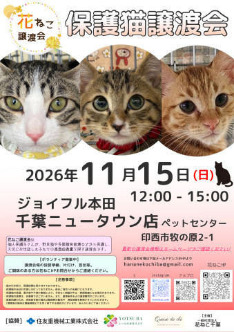 花ねこ譲渡会