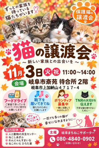 岐阜市保護猫  譲渡会
