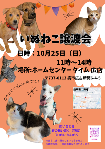 いぬねこ譲渡会