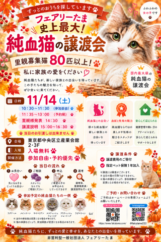【国内最大級！】フェアリーたまの譲渡会