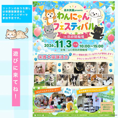 保護ねこ譲渡会in防府市競輪場