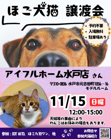 譲渡会 at アイフルホーム水戸店
