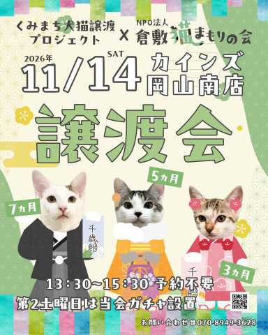保護猫譲渡会（予約不要）