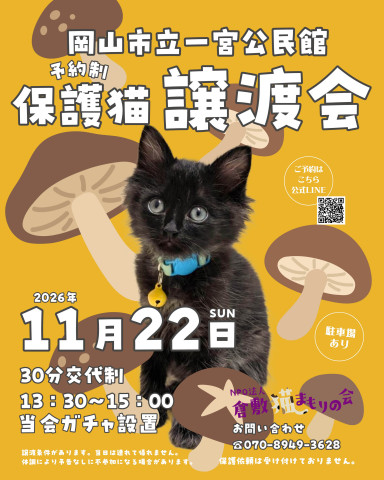 保護猫譲渡会（予約制）