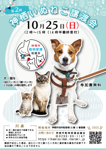 神栖いぬねこ譲渡会